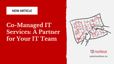 Co-Managed IT Services: A Partner for Your IT Team
